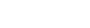 TallyPro logo